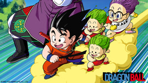 Dragon Ball: Aventura mística