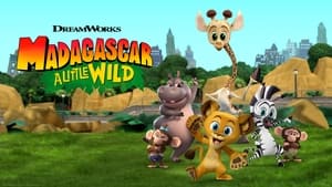 Madagascar: A Little Wild